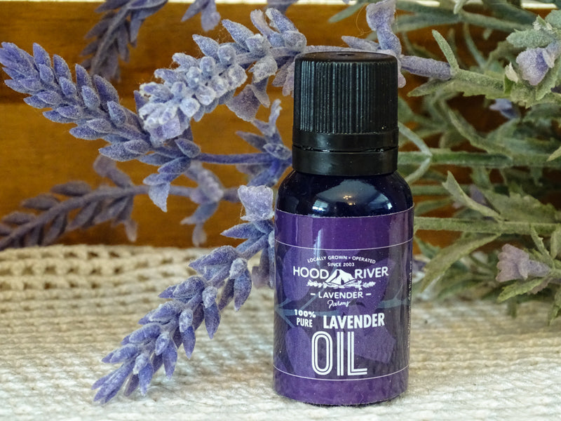 lavender essential oil on plants Grosso variety Lavender Essential Oil – Hood River Lavender Farms