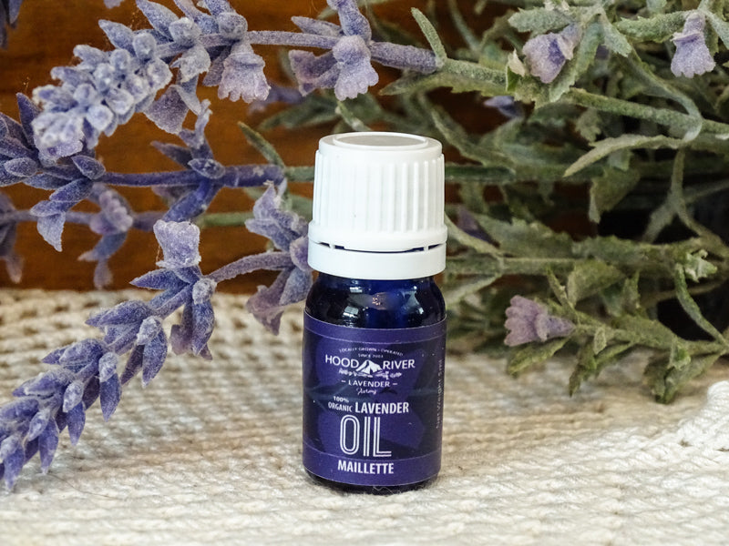 white flower lavender oil Angustifolia Lavender Oil