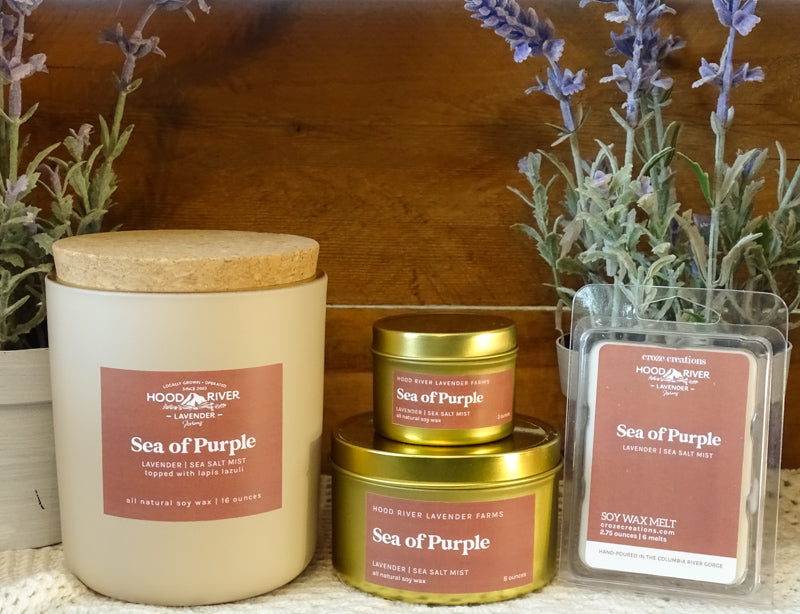Sea of Purple Candle