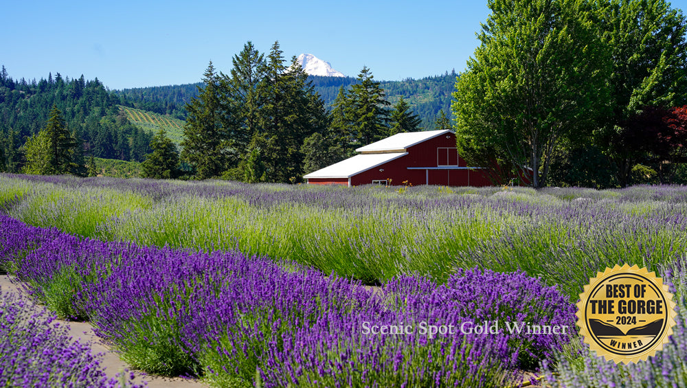 Hood River Lavender Farms