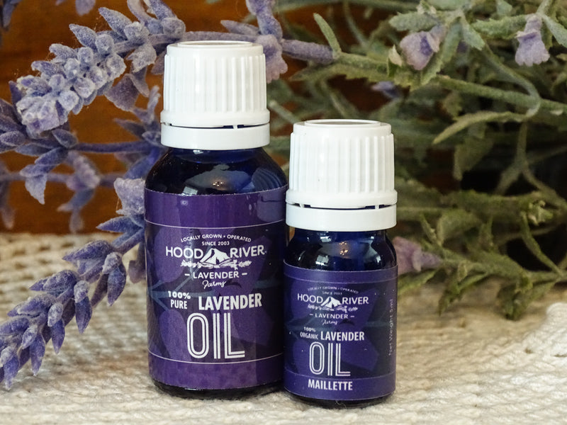 Maillette Lavender Oil - L. angustifolia